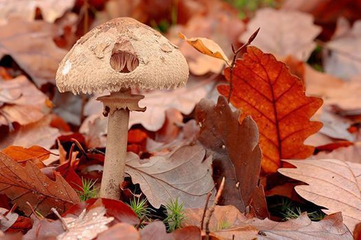 416932_3484645969923_1620218183_n